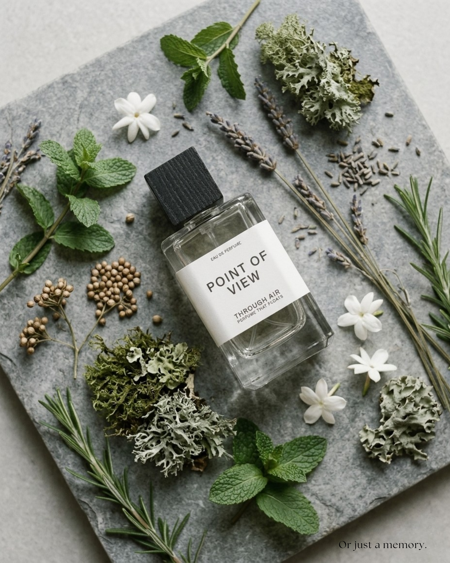 Point of view - Eau de Parfum
