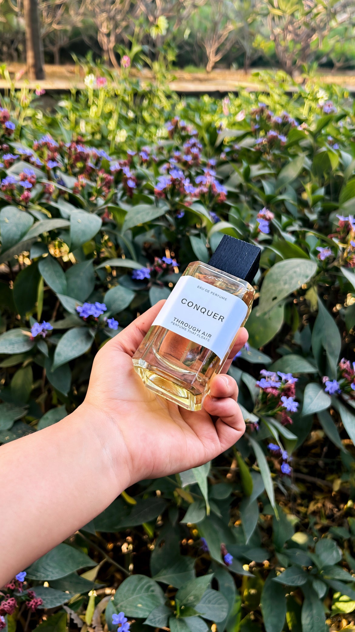 Conquer - Eau de Parfum