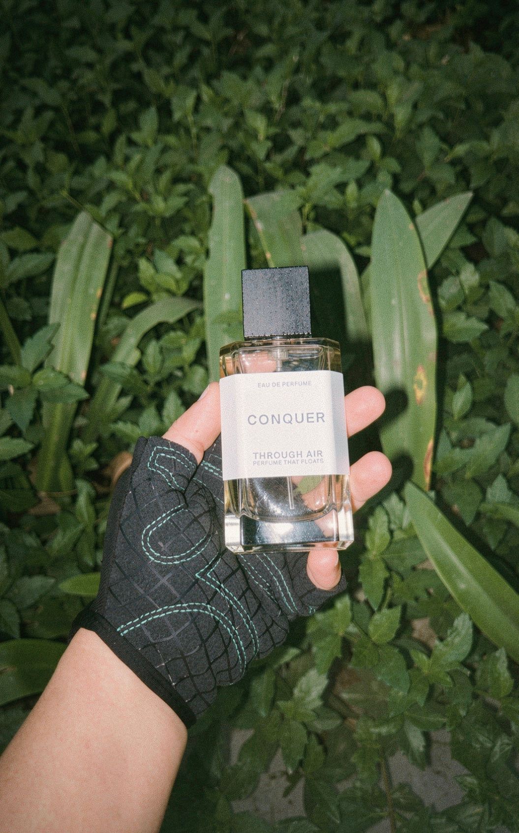 Conquer - Eau de Parfum